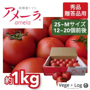 高糖度フルーツトマト アメーラトマト 秀品 約1kg 1箱 2S〜Mサイズ(12〜20個前後入) ギ...