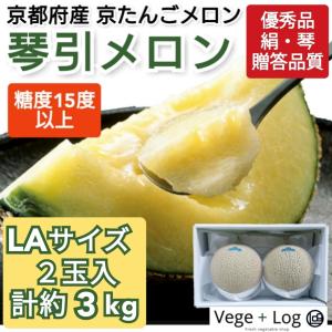 期間限定】京都府産 京たんごメロン「琴引メロン」優秀品(絹・琴) 2L