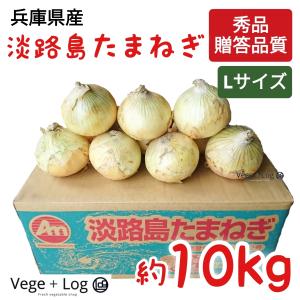 ♦️秀品10Kg 5Kg ♦️淡路島新玉ねぎ　たまねぎ　玉葱 長崎県産・静岡県産 他 新たまねぎ 秀~A品 Lサイズ 約10kg ギフト用