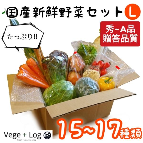 京都卸売市場より 国産新鮮野菜セット(L) 15~17種類 秀〜A品 贈答品質 季節の野菜&amp;定番野菜...