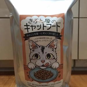 5％オフ！！ きぶん屋のキャットフード2キロ 3セット : ベジニャン