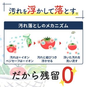 野菜洗いのお水ベジセーフ【お得な4L大容量】農...の詳細画像5