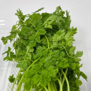 チャービル セルフィーユ パック 飾り 10〜15ｇ入れ ハーブ