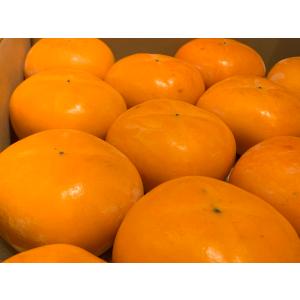 柿 種なしで濃厚な甘さ 新潟県佐渡産 おけさ柿　M　20個入れ(3.75kg詰)