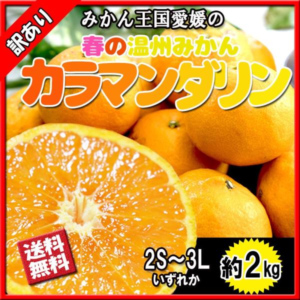 カラマンダリン 温州みかん 春みかん 愛媛県産 不揃い 混合  約 2ｋｇ 訳あり キズ多め 送料無...