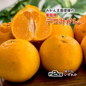 デコみかん 父の日 訳あり 不知火 しらぬい キズ多め デコポン 約2ｋｇ S〜3Ｌ 送料無料