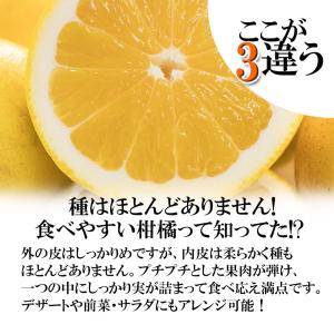 河内晩柑 訳あり 愛媛県産 和製グレープフルー...の詳細画像3