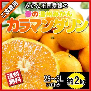 カラマンダリン 家庭用 温州みかん 春みかん 愛媛県産 2S〜3L 約 2ｋｇ 送料無料｜vegetable-fruit-pro