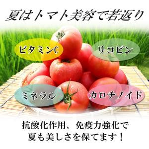 桃太郎トマト セール 愛媛県産 桃太郎とまと ...の詳細画像3