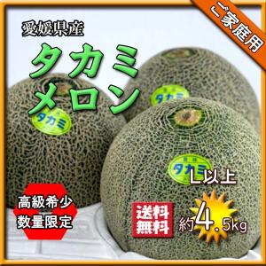 アールスメロン 贈答用 メロン 高知県産 ネット系メロン ハウスメロン