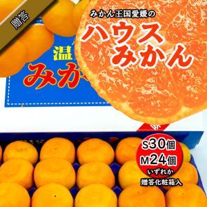 ハウスみかん お中元 贈答 ハウスミカン 温室みかん 愛媛県産 みかん S 30個/M24個 送料無料｜ベジろう