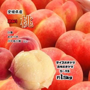 もも 桃 愛媛県産 訳あり 詰め合わせ 約 1.2〜1.5ｋｇ 送料無料 品種おまかせ 白鳳 あかつき 川中島 5〜11玉