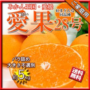 みかん 箱買い 家庭用 紅まどんな 愛果28号 べにまどんな 愛媛県産 約