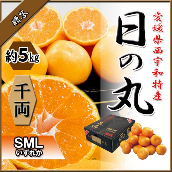 みかん お歳暮 贈答 日の丸みかん 日の丸 愛媛県産 千両箱入 約 5ｋｇ 送料無料