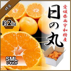 Lion（ライオン） そのまんま 甘夏 12袋 ライオン菓子 あまなつ みかん