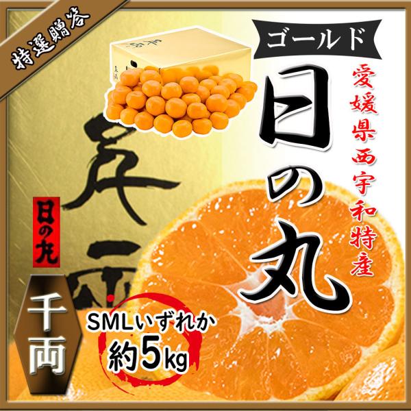 みかん お歳暮 特選贈答 日の丸みかん 千両ゴールド 日の丸 5ｋｇ 皇室献上品 送料無料