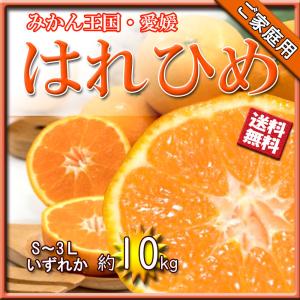 はれひめ 箱買い みかん ご家庭用 雑柑 2S Ｓ Ｍ Ｌ 2Ｌ 3Ｌ 約10ｋｇ 送料無料