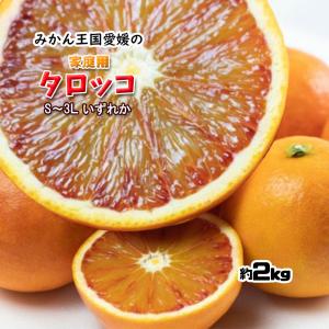 タロッコ 家庭用 新品種 ブラッドオレンジ 箱買い 愛媛県産 送料無料 約2ｋｇ S〜3L いずれか