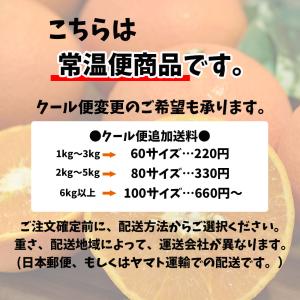 鳴門金時 食べきりサイズ S-2S 徳島県産 ...の詳細画像3