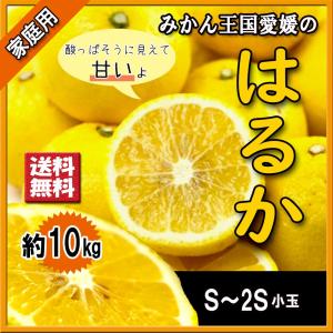 はるか 家庭用 みかん 箱買い 愛媛県産 送料無料 約10ｋｇ 2Ｓ〜Ｓ 小玉