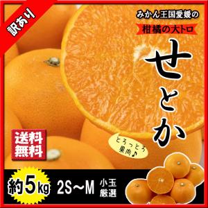 せとか 箱買い 訳あり 愛媛県産 柑橘の大トロ 2S〜M 約5ｋｇ 食べきりサイズ 送料無料