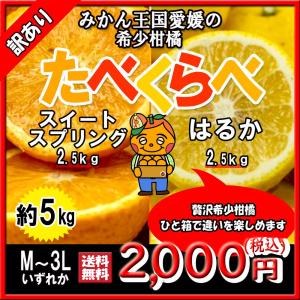 はるか スイートスプリング 食べくらべセット 愛媛県 希少柑橘 5ｋｇ 送料無料