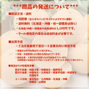 せとか 訳あり 箱買い 愛媛県産 柑橘の大トロ...の詳細画像4