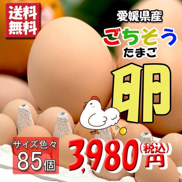 たまご 愛媛県 敬老の日 餌と生育にこだわった ごちそう卵 まとめ買い 80個 + 破損保障 5個 ...