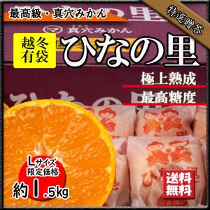 2025 御歳暮 真穴みかん 糖度12度以上 秀品 S~Lサイズ 約3kg 愛媛県産
