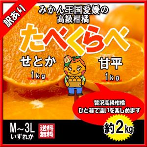 せとか 甘平 食べくらべセット 訳あり 愛媛県 希少柑橘 約2ｋｇ 送料無料