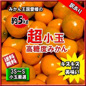 みかん 訳あり 箱買い 超小玉みかん 高糖度みかん 愛媛みかん 3S-S 約5ｋｇ 訳あり 送料無料