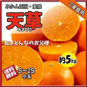 天草（あまくさ）訳あり10kg 紅まどんなの親品種 ※北海道、東北、沖縄発送不可 みかん あまくさ 紅まどんな の親品種 家庭用 大きさお任せ 約2.5kg