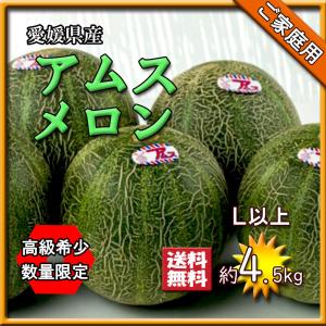 アールスメロン 贈答用 メロン 高知県産 ネット系メロン ハウスメロン