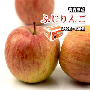 ふじりんご りんご 青森県産 リンゴ 林檎 M〜L 36個〜40個 送料無料 まとめ買い｜vegetable-fruit-pro