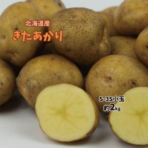 きたあかり じゃがいも 北海道産 芋 いも 約2ｋｇ 送料無料 S-3S 栗芋｜vegetable-fruit-pro