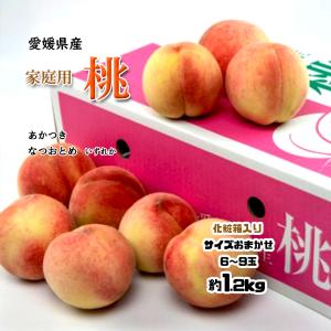 もも 桃 愛媛県産 家庭用 敬老の日 詰め合わせ 約 1.2ｋｇ 送料無料 なつおとめ あかつき 川中島 6〜9玉 化粧箱