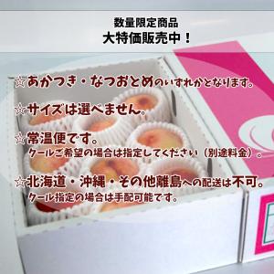 もも 桃 愛媛県産 家庭用 敬老の日 詰め合わ...の詳細画像3
