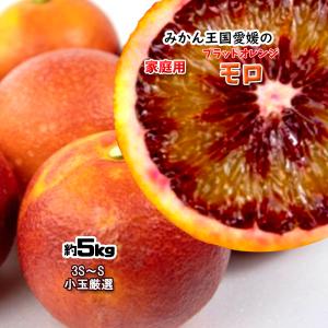 モロ 家庭用 新品種 ブラッドオレンジ 箱買い 愛媛県産 送料無料 約5ｋｇ 3S-S いずれか 小玉
