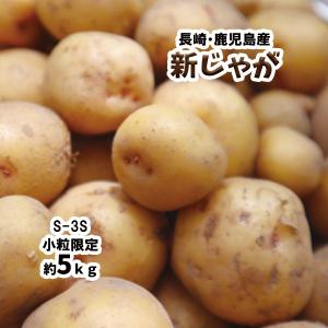 新じゃが じゃがいも 長崎県 鹿児島県 芋 いも 約5ｋｇ 送料無料 S-3S 小粒 男爵 とうや とよしろ他｜vegetable-fruit-pro