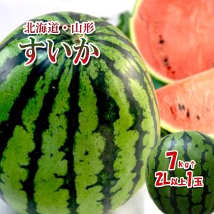 すいか 西瓜 北海道産 山形県産 スイカ 送料無料 2L 以上 約7ｋｇ 1玉 訳あり
