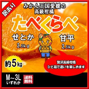 せとか 甘平 食べくらべセット 愛媛県産 希少柑橘 5ｋｇ 送料無料