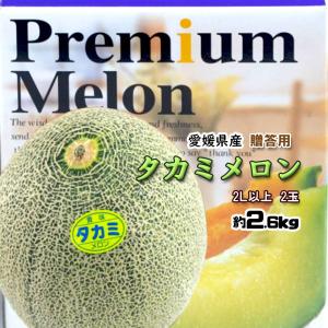 アールスメロン 贈答用 メロン 高知県産 ネット系メロン ハウスメロン