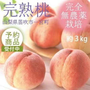 【予約】産地直送　桃 送料込 山梨県産 約3kg（5〜7個前後） 無農薬 もも作り名人中沢さんの桃　※7月下旬〜8月中旬発送予定　※お届け日指定不可