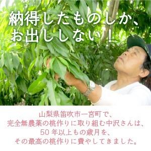 【予約】産地直送 桃 送料込 山梨県産 約3k...の詳細画像1