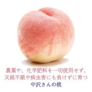 【予約】産地直送 桃 送料込 山梨県産 約3k...の詳細画像2