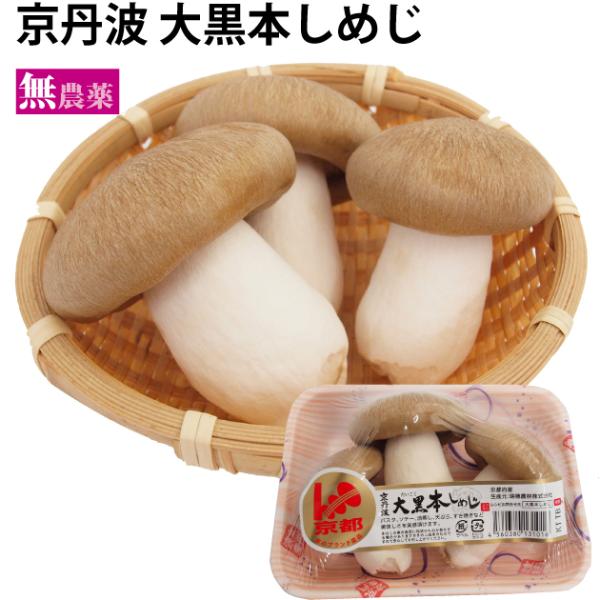 きのこ　大黒本しめじ 100g 京都府京丹波産本しめじ 送料別 ポイント消化 食品