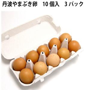 カンナンファーム　丹波 やまぶき卵 10個×3パック（合計30個）　送料込