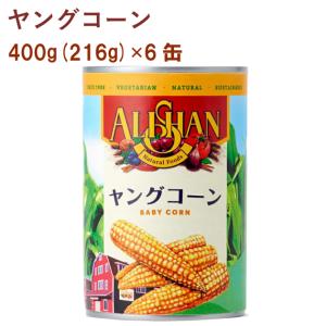 ヤングコーン 缶 食品 の商品一覧 通販 Yahoo ショッピング