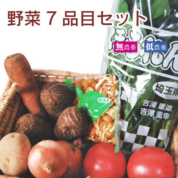 リニューアル　お買い求めやすいセット内容と価格になりました　旬の野菜　こだわり野菜セット 無農薬　低...