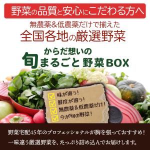 ベジタブルハート 野菜セット 【からだ想いの旬...の詳細画像1
